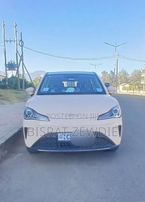 Hozon Neta Aya 2023