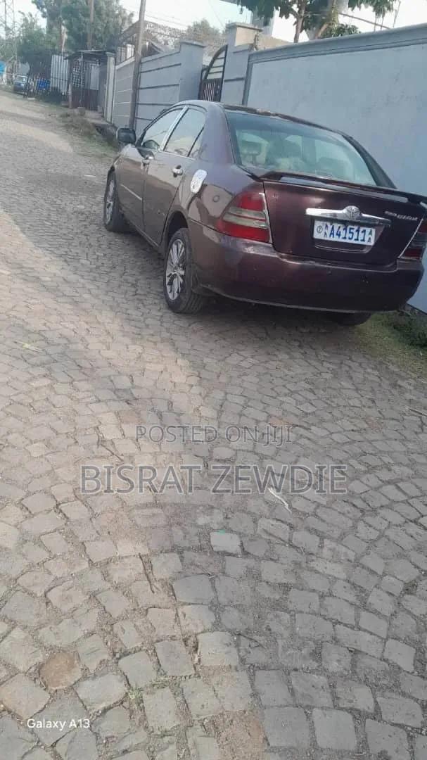 Toyota Corolla 2003 Purple