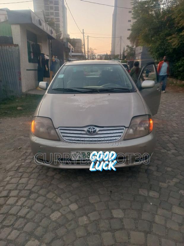 Toyota Corolla 2003 Gray
