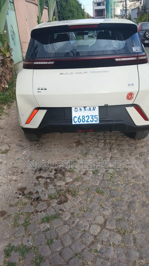 BYD Seagull 2024 White