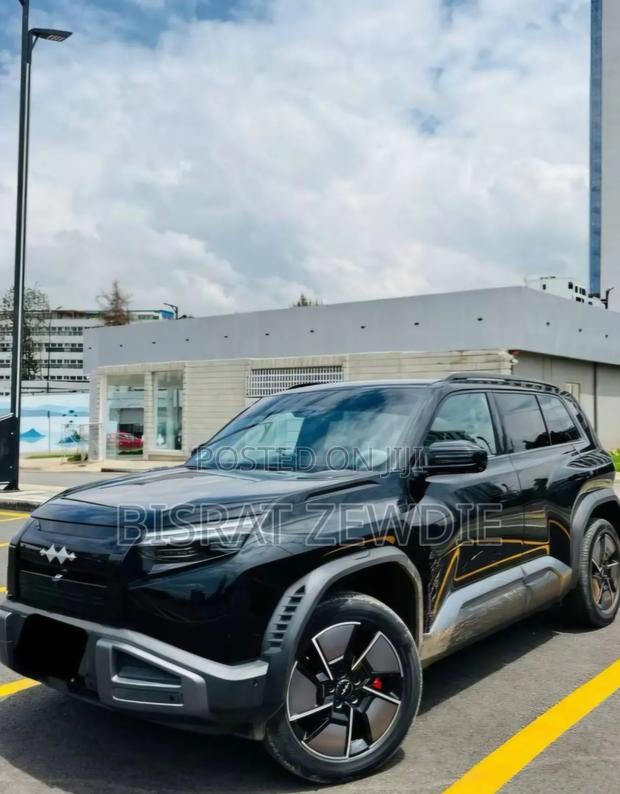 BYD Leopard 3 2025 Black