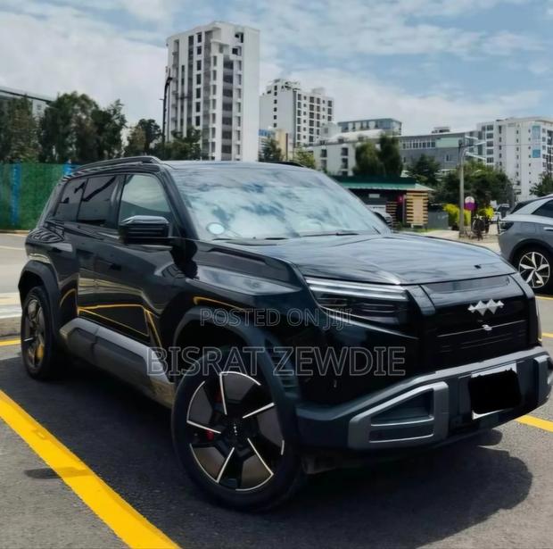BYD Leopard 3 2025 Black