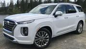 New Hyundai Palisade 2023 White for sale