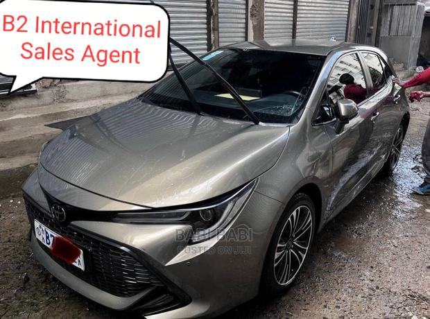 Toyota Corolla 2021 Gray