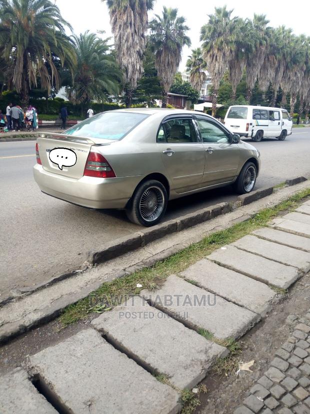 Toyota Corolla Sedan 2003 Brown