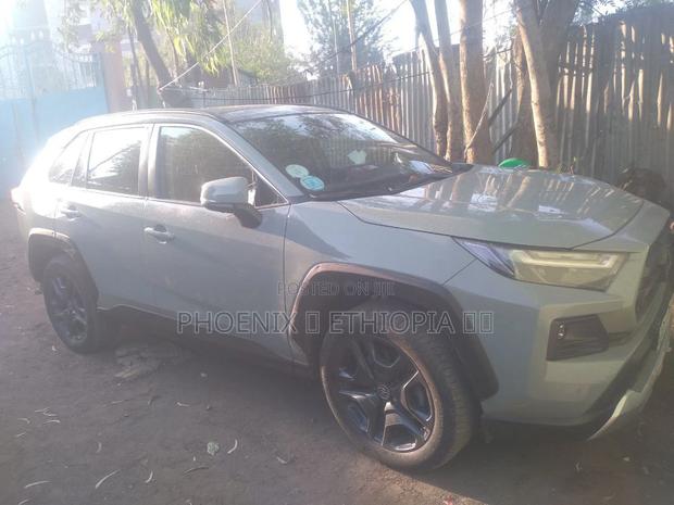 Toyota RAV4 2022 Gray