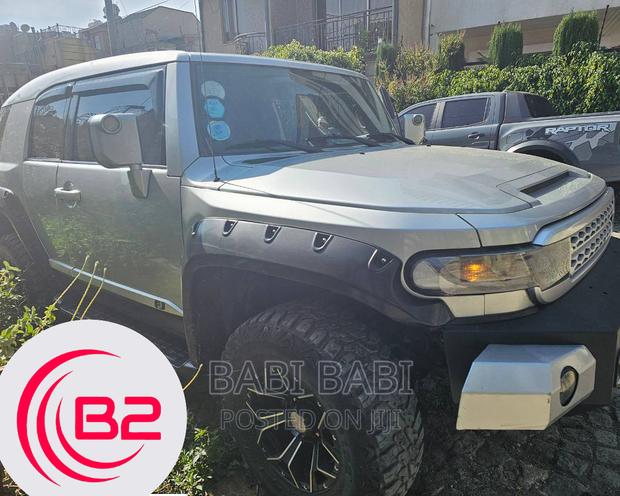 Toyota FJ Cruiser 2010 Silver