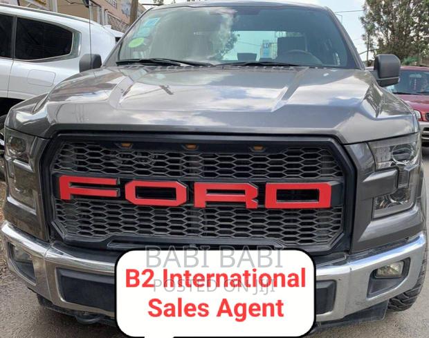 Ford F-150 2017 Gray