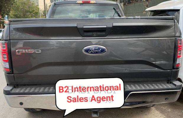 Ford F-150 2017 Gray