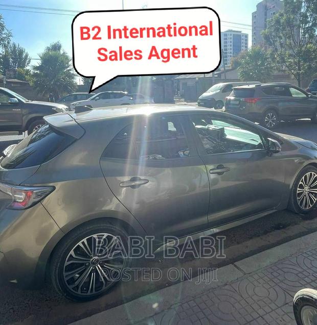 Toyota Corolla 2020 Gray