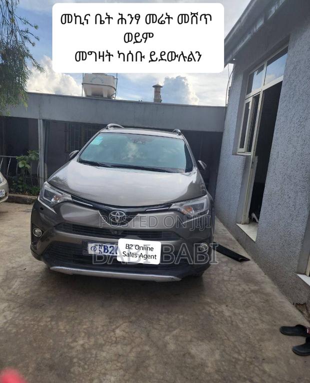 Toyota RAV4 2017 Brown