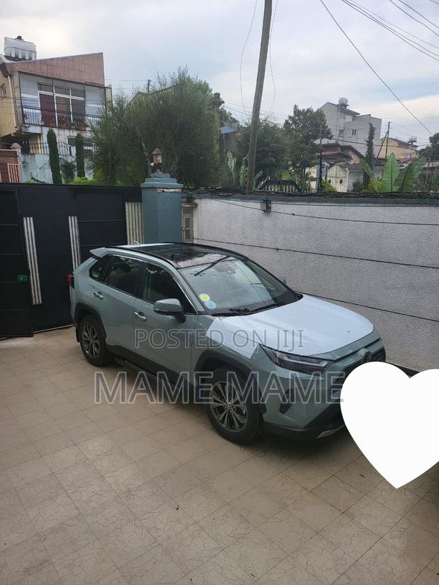 New Toyota RAV4 2022 Gray
