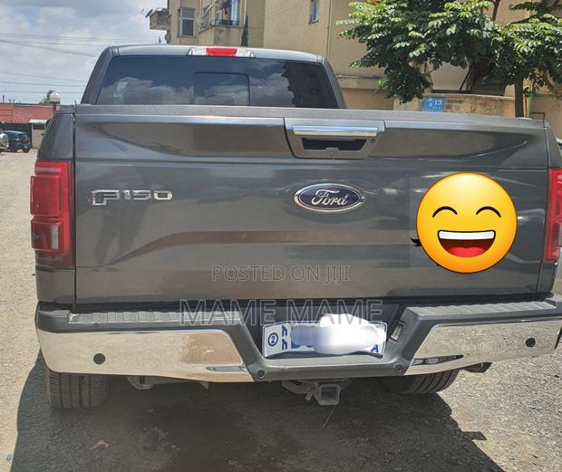 Ford F-150 2017 Gray