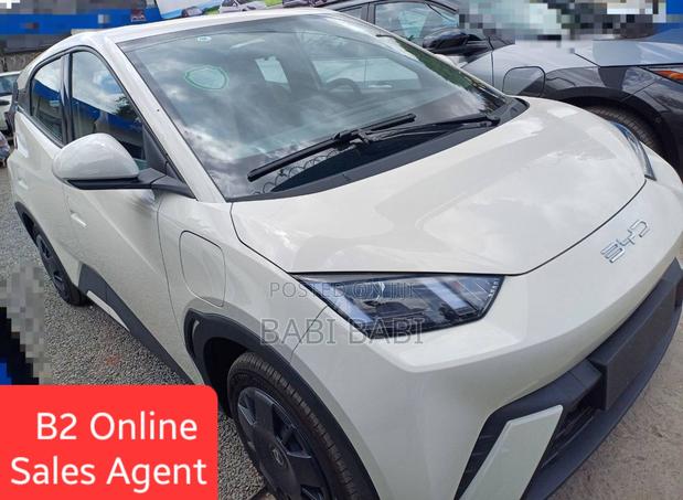 New BYD Seagull 2025 White