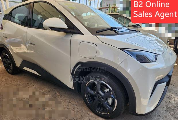 New BYD Seagull 2025 White