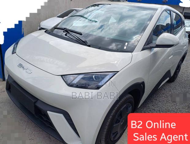 New BYD Seagull 2025 White