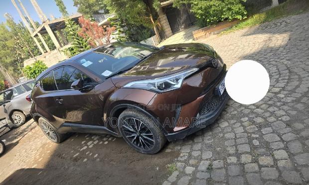 Toyota C-HR 2019 Brown