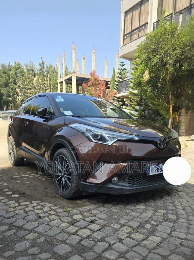 Toyota C-HR 2019 Brown
