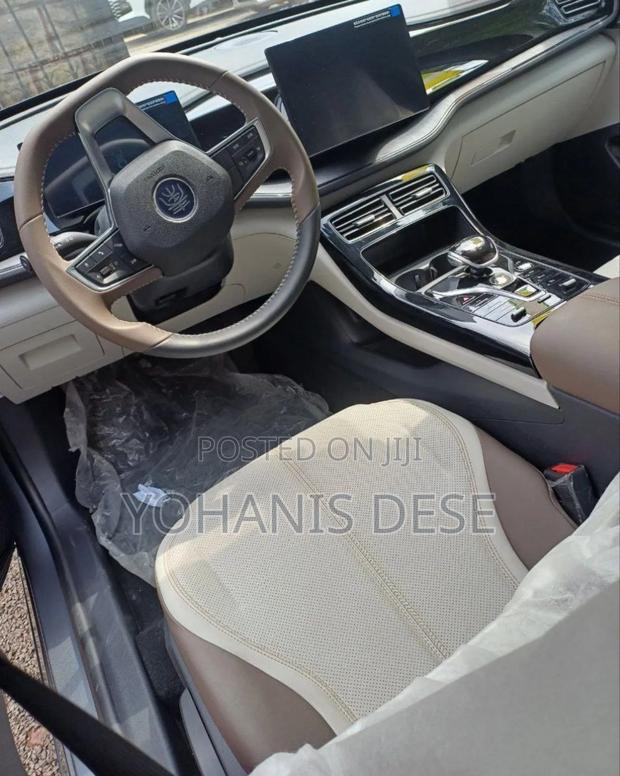 New BYD Qin Plus DM-i 2025 Gray