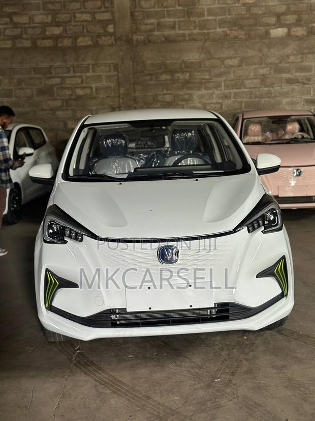 New Changan BenBen 2024 White
