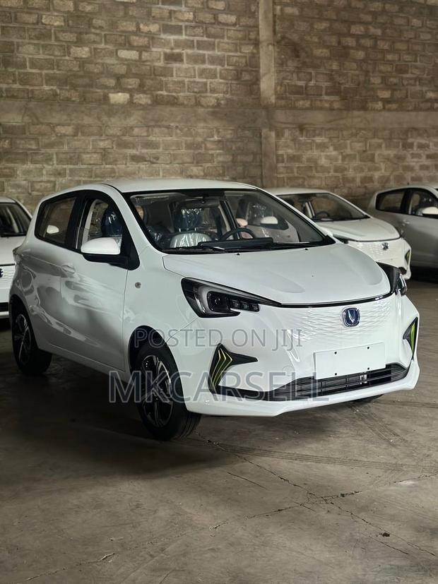 New Changan BenBen 2024 White