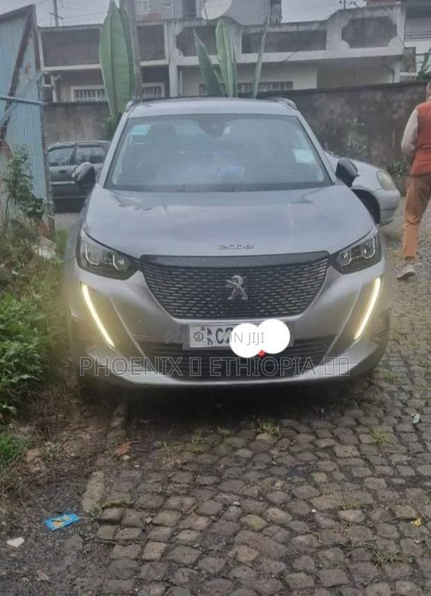 Peugeot 2008 2022 Silver
