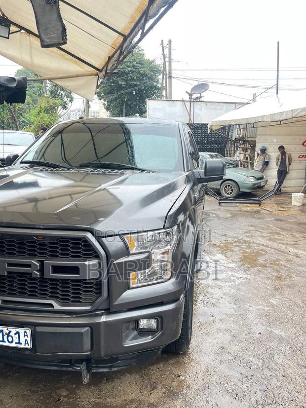 Ford F-150 2016 Gray