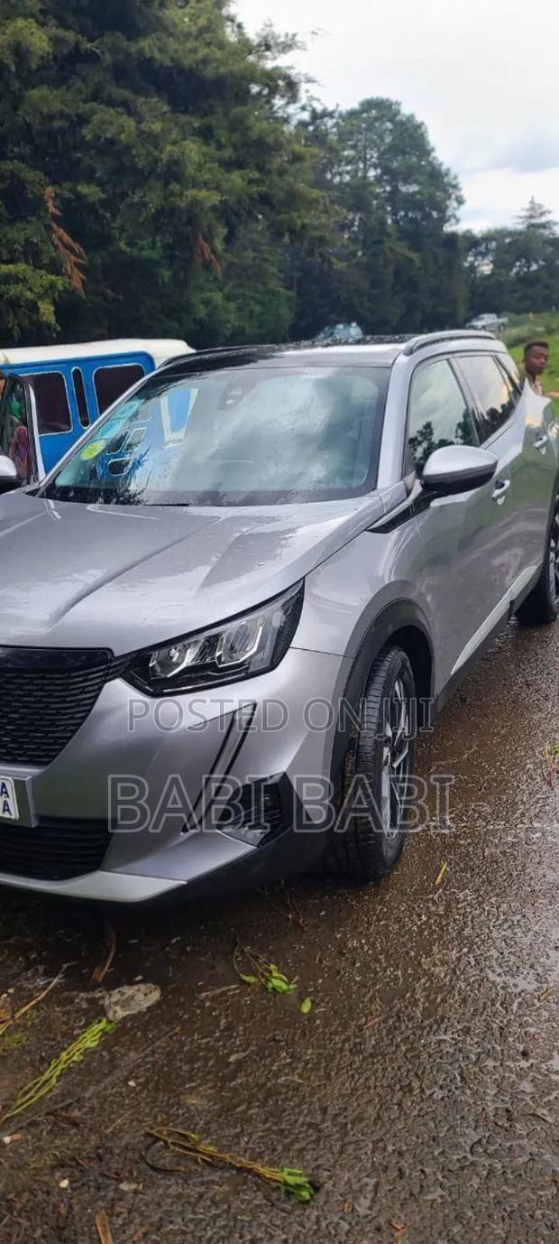 Peugeot 2008 2021 Silver