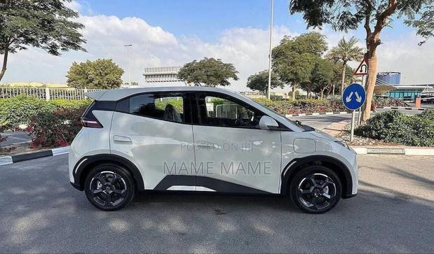 New BYD Seagull 2024 White