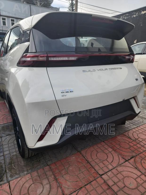 New BYD Seagull 2024 White