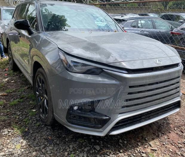 New Lexus TX 2024 Gray