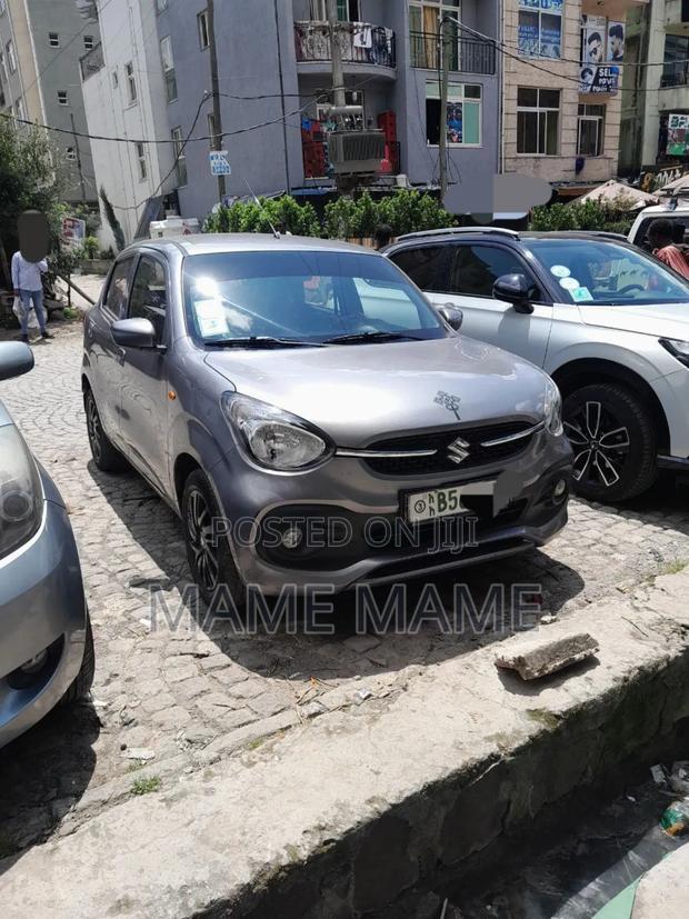 Suzuki Celerio 2019 Gray