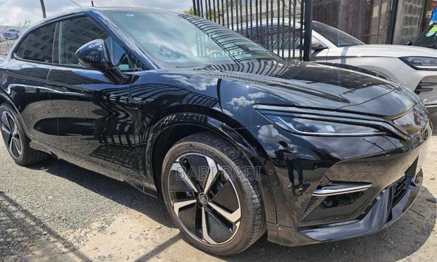 New BYD Song Plus 2024 Gray
