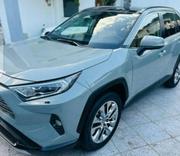 Toyota RAV4 2019 Gray for sale