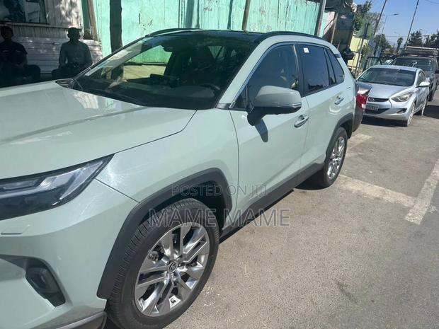 New Toyota RAV4 2024 Gray