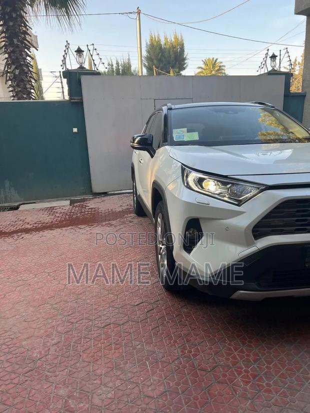 New Toyota RAV4 2021 White