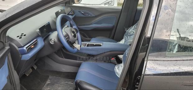 New BYD Seagull 2024 Black