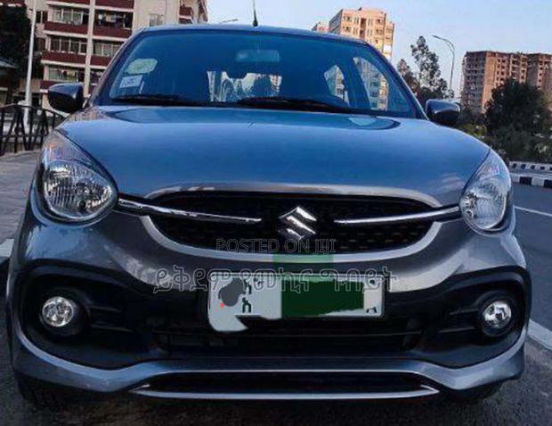 Suzuki Celerio 2019 Gray