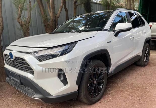 New Toyota RAV4 2024 White