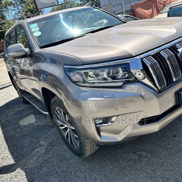 Toyota Land Cruiser 2019 Brown