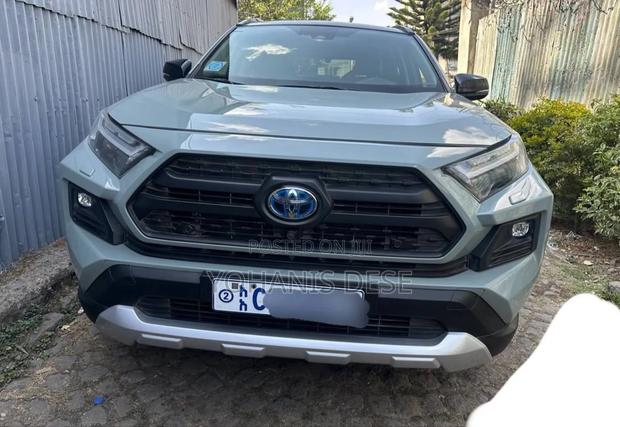 Toyota RAV4 2020 Blue