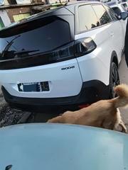 Peugeot 5008 2022 White for sale