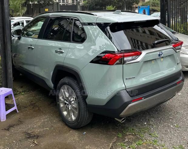 New Toyota RAV4 2023 Green