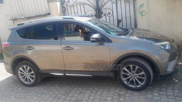 Toyota RAV4 2018 Brown