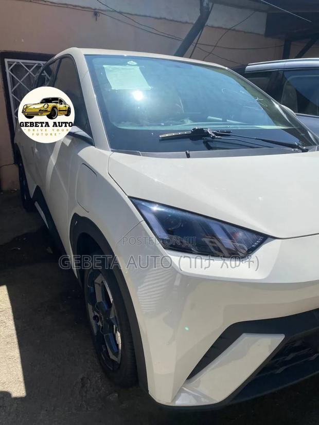 New BYD Seagull 2025 White