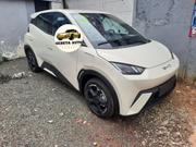 New BYD Seagull 2025 White for sale