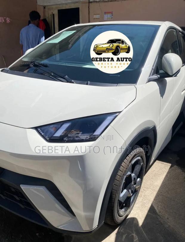 New BYD Seagull 2025 White