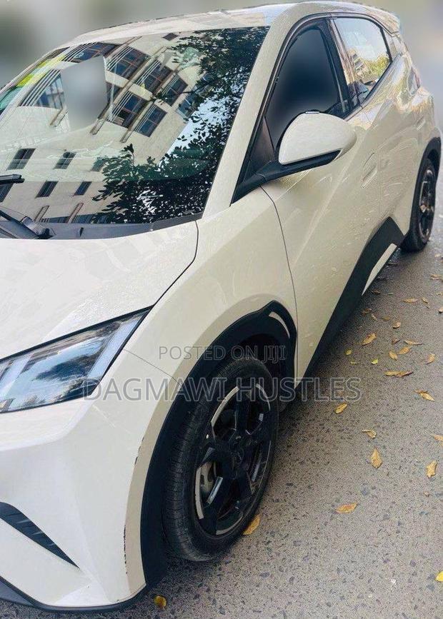 BYD Seagull 38 kWh FWD 2024 Beige