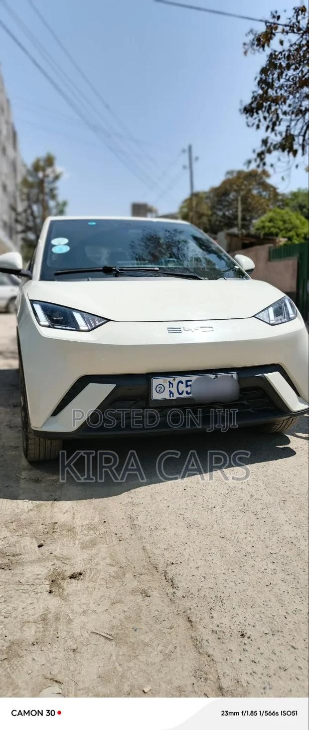 BYD Seagull 2024