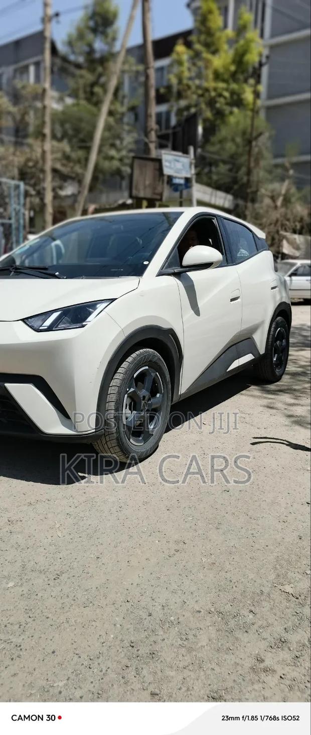 BYD Seagull 2024